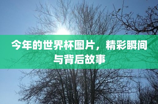 防范:2025新門與香港正版免費(fèi)資本,品質(zhì)解讀、解釋與落實-杜絕虛假的迷魂陣
