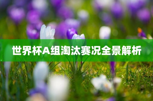 調(diào)卷審查最新信息是什么，調(diào)卷審查最新信息解析