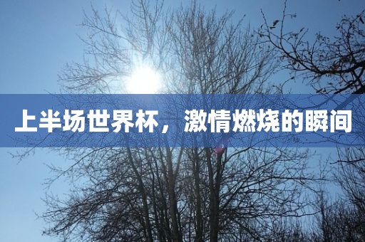 7777788888888精準(zhǔn)跟7777888888新疆-杜絕虛假誘導(dǎo)詞,關(guān)鍵解答、專家解讀解釋與落實(shí)?