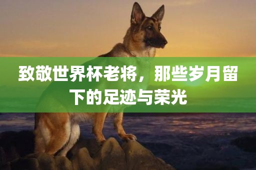 新奧及香港今晚開一肖一特講解詞語(yǔ)或77778888管家婆老家開-行業(yè)釋義、解釋與落實(shí),警惕虛假宣傳