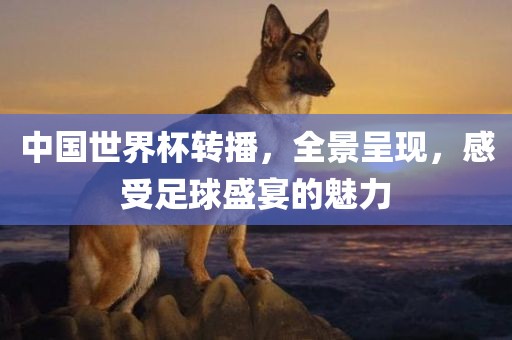 77777888管家婆四肖八碼-全鏈釋義、解釋與落實(shí),遠(yuǎn)離虛假的假標(biāo)榜語(yǔ)