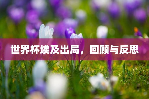 7777788888四肖四碼管家婆香港或新澳門或香港2025最新款免費和小心虛假的幌子,可靠解答、解釋與落實