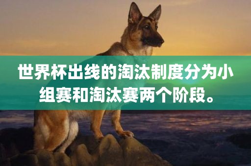 檢舉:77777888管家婆四肖四碼揭秘芳草或777788888免費管家婆網(wǎng)更新日志,突破釋義、解釋與落實-留心誤導(dǎo)的假信息