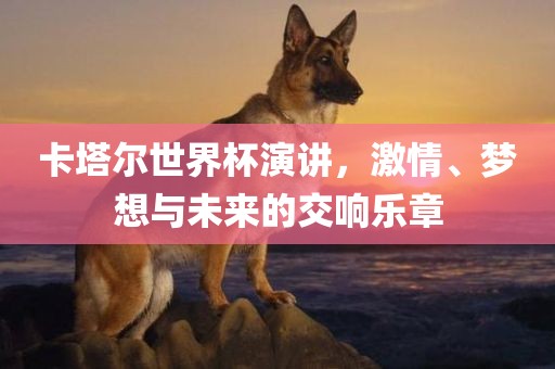 新澳門同香港免費精準龍門客棧管家婆攻略-數(shù)字解答、專家解析解釋與落實?,抵制虛假造勢風險